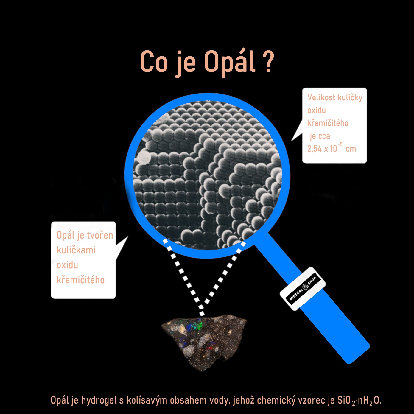 opal schema web